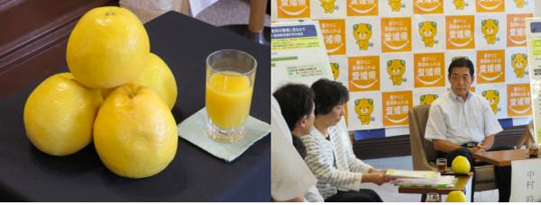 アイキャッチ：愛媛県、河内晩柑果汁飲料の認知機能に関する特許出願